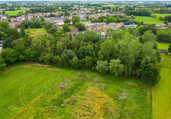 Prachtig bos van 7722 m² 3946003637000006417.jpg