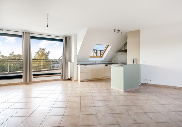 Dakappartement met zeer ruim terras 3746003637000016594.jpg