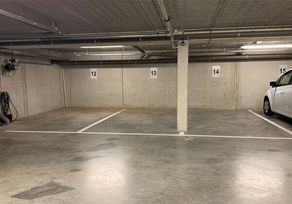 3746003637000090099.jpg