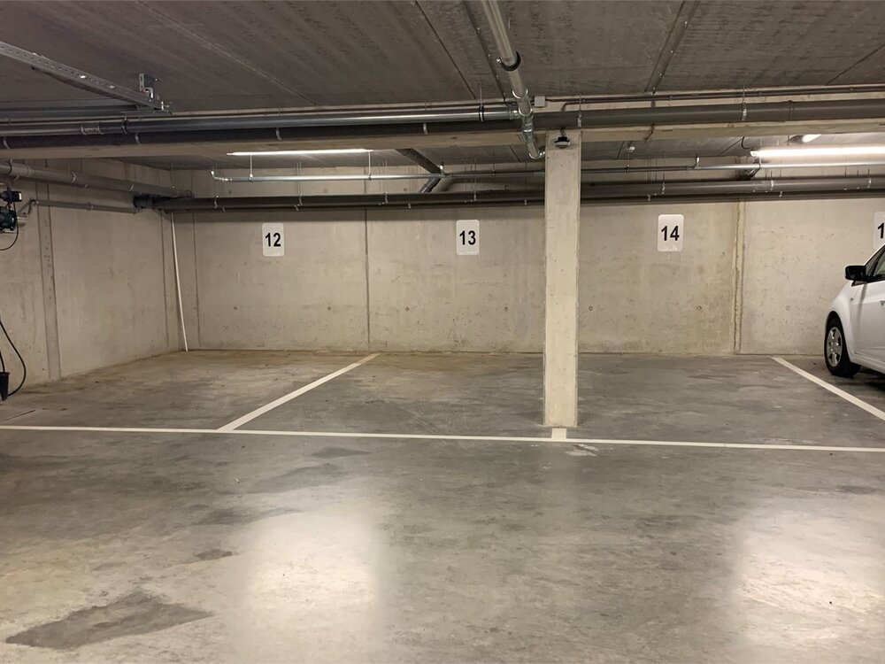 3746003637000090099.jpg