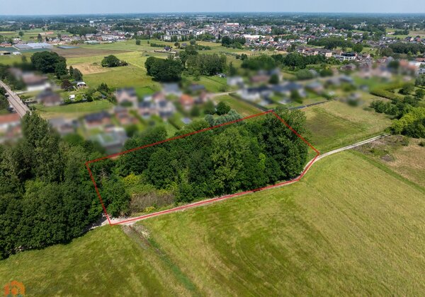 Bosgrond op een perceel van 5048 m² 3746003637000063965.jpg